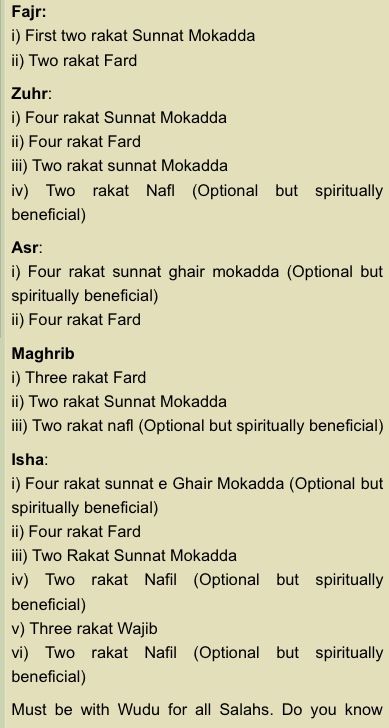 Fard and optional/voluntary prayers. 5 Daily Prayers Islam, Jummah Prayer, Jummah Mubarak Messages, Islam Ramadan, Islam Quotes About Life, Learning To Pray, Islam Beliefs, Islamic Information, Muslim Prayer