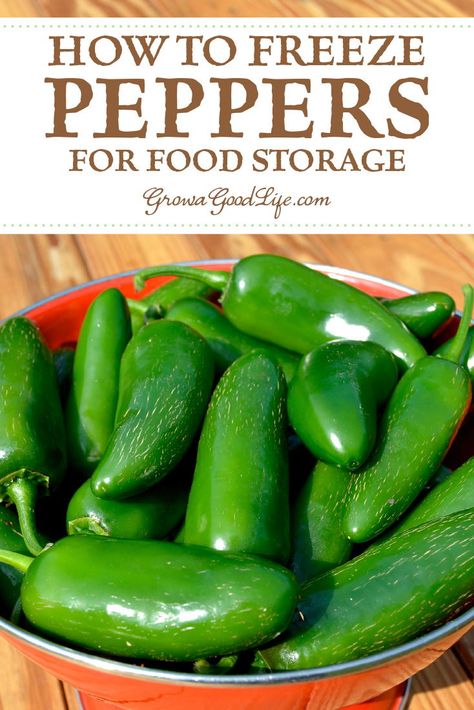 Freezing Hot Peppers From Garden, Freeze Peppers From Garden, Freeze Peppers How To, Freezing Hot Peppers, Can You Freeze Bell Peppers, Pablano Pepper Freezing, How To Freeze Fresh Jalapenos, How To Freeze Hot Peppers, Can You Freeze Jalapenos Whole