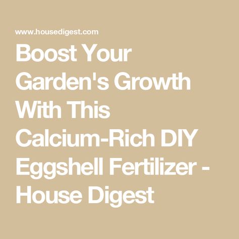 Boost Your Garden's Growth With This Calcium-Rich DIY Eggshell Fertilizer - House Digest Eggshell Fertilizer, Diy Fertilizer, Plant Fertilizer, Plant Benefits, Fertilizer For Plants, Acetic Acid, Distilled White Vinegar, Liquid Fertilizer, Chemical Reactions