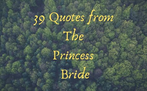 Princess Bride Themed Wedding, Princess Bride Tattoo, Princess Bride Funny, Princess Bride Buttercup, Princess Bride Quotes, Princess Bride Movie, Princess Bride Wedding, Funny Princess, Bride Quotes