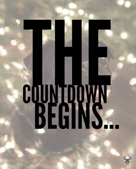 And the countdown begins....no no no! We're not talking about the Christmas  countdown (not yet)... we're referring to the New Mortgage Rules that are being implemented January 1st 2018!  REMEMBER! These NEW rules impact you IF you:  Are currently  shopping or want to buy with more than 20% Downpayment  Thinking of Re-Financing (ie. using your home equity to invest renovate pay out high % debt)  Mortgage is up for Renewal in the next 6 months  Get in touch with us and we'll gladly review your sc The Countdown Begins, Next 6 Months, Countdown Begins, Mary Kay Marketing, Not Talking, January 1st, Home Equity, Christmas Countdown, Mary Kay