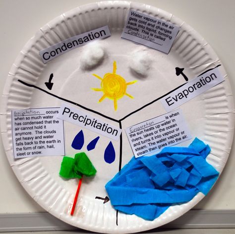 water cycle paper plates activities | This is an actvity we did in class. Explain what the picture is ... Water Cycle Paper Plate Craft, Water Cycle Lessons, Water Cycle Project, Water Cycle Activities, Second Grade Science, 4th Grade Science, Fun School, Water Cycle, Elementary Science