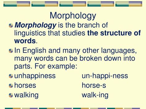 Morphology. Morphology is the branch of linguistics that studies the structure of words . In English and many other languages, many words can be broken down into parts. For example: unhappiness un-happi-ness horses horse-s walking walk-ing. Morphology. Morphology Linguistics, Linguistics Major, Linguistics Study, Word Formation, Other Languages, Teaching Grammar, Compound Words, Different Words, English Writing