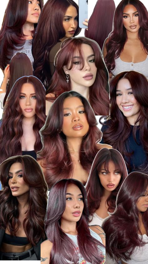 Hair Colour Burgundy, Hair Color Burgundy, Hair Cut Ideas, Blowout Hair, New Hair Colors, Hair Inspo Color, Hair Colour, Hair Cut, New Me