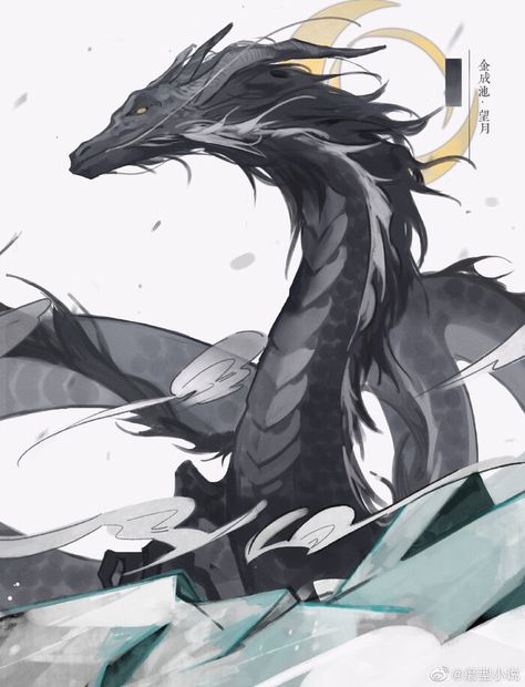 Wangyue | The Husky and His White Cat Shizun Wiki | Fandom White Eastern Dragon, Chinese Dragon Reference, Unique Dragons, Black Dragon Art, Dark Blue Dragon, Chinese Dragon Drawing, Creature Of Sonaria, Dragon Pics, Chinese Dragon Art