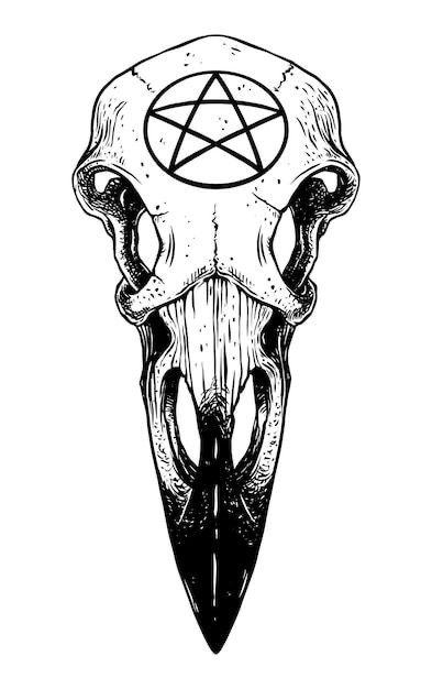 Bird Skull Tattoo, Pentagram Tattoo, Skull Art Drawing, Spooky Tattoos, Animal Skull, Sketch Tattoo Design, Raven Art, Raven Skull, Gothic Tattoo