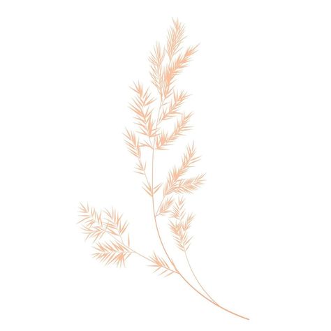 Color Template, Soft Pink Color, Feather Flower, Pampas Grass, Vector Stock, Wedding Card, South America, Soft Pink, Wedding Cards