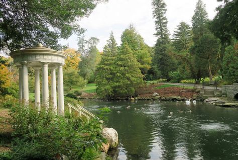 Morris Arboretum, Survival Gardening, Survival Life Hacks, Survival Life, Top Travel Destinations, Gap Year, Hidden Gem, Garden Styles, Tropical Plants