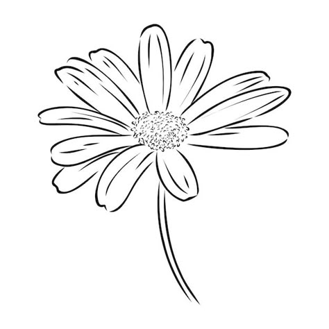 Vector daisy flower line art drawing vec... | Premium Vector #Freepik #vector #chamomile #daisy #camomile #chamomile-flower Daisy Line Art Drawings, Chamomile Drawing Simple, Daisy Flower Line Art, Hand Drawn Daisy, Daisy Outline Drawing, Chamomile Flowers Drawing, Daisy Flower Drawing Simple, Camomile Drawing, Simple Daisy Drawing