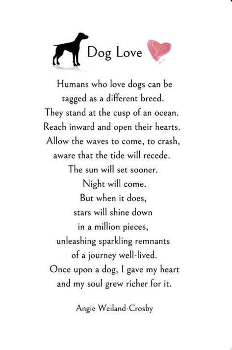 Dog Poetry, Miss My Dog, Dog Poems, Soul Love, Dog Quotes Love, Dog Heaven, Loss Of Dog, Mom Love, Dog Memorial