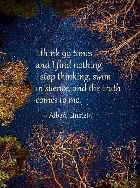 Motivation Positive, Albert Einstein Quotes, Einstein Quotes, Quotable Quotes, Albert Einstein, The Words, Pisa, Great Quotes, Wisdom Quotes