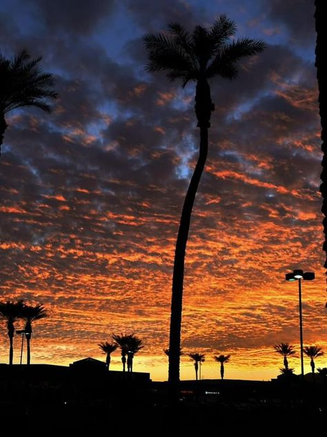 Beautiful Arizona Sunsets | Another insane sunset here in Phoenix 🤩 | Facebook Arizona Sunset, Sunrise Sunset, Phoenix, Arizona, Quick Saves