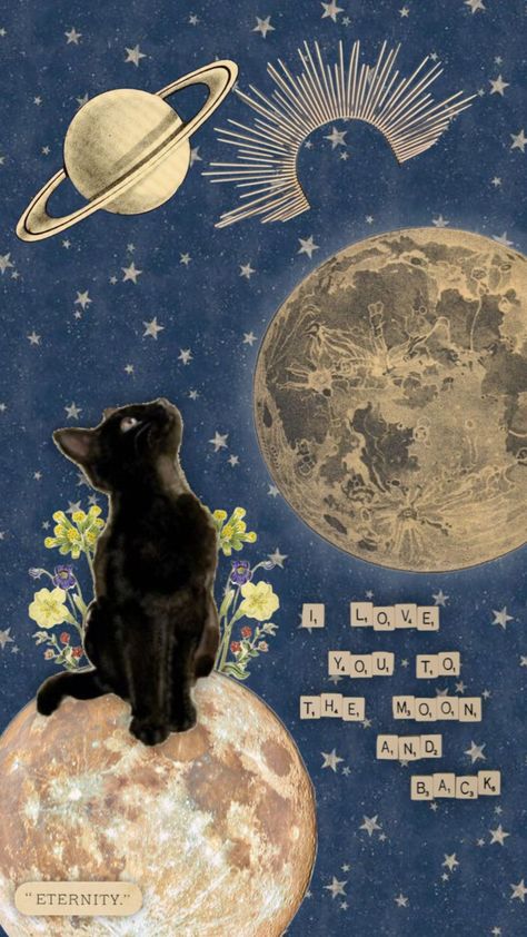 #myfirstshuffle Space Cats Wallpaper, Moon Cat Wallpaper, Space Cat Wallpaper, Cat Collage, Collage Background, Edgy Wallpaper, Funny Wallpaper, Graphic Wallpaper, Space Cat