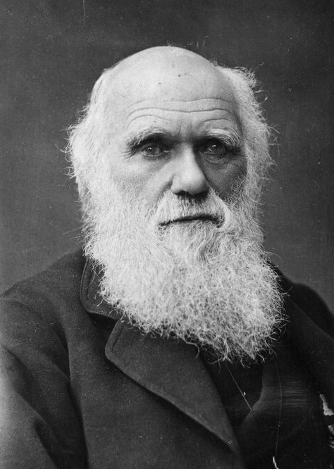 Charles Darwin Charles Darwin, A Man, Black And White, White, Black