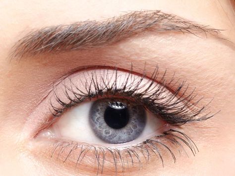 Eyelash Lift And Tint, Eyes Reference, Eye References, Eye Reference, Permanent Eyelashes, Eyelash Tinting, Eyelash Perm, Natural Mascara, Grey Eyes