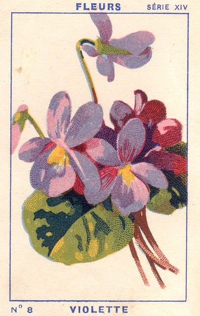 Stamp, Interior Design, Purple, Canvas, Flowers, Green, White, Design, Art