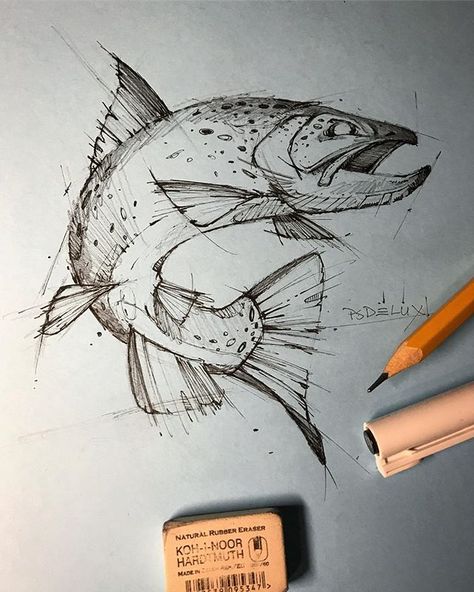 psdelux on Instagram: “🐟” Arte Doodle, Animal Drawings Sketches, Sketch Artist, Fish Drawings, Desenho Tattoo, Pencil Art Drawings, Animal Sketches, A Pencil, Pen Art