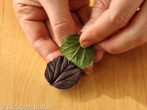 How to Make Chocolate Leaves - Photo Tutorial: Peel the Leaves Off the Chocolate Chocolate Leaves, Chocolate Bowls, Chocolate Garnishes, Chocolate Recipes Homemade, Cakes Chocolate, Chocolate Roses, Chocolate Cake Decoration, Chocolate Flowers, Chocolate Art