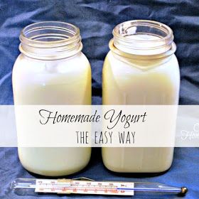 Goat Milk Yogurt, Homemade Yogurt Recipes, Make Your Own Yogurt, Goat Milk Recipes, Homestead Blog, Yogurt Maker, Homemade Yogurt, Yogurt Recipes, Vanilla Yogurt