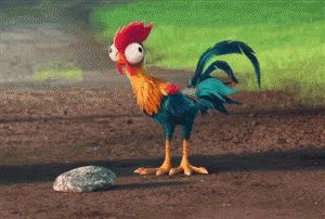 Moana, Animated Gifs, Animated Gif, Rooster, Keyboard, Gif, Chicken