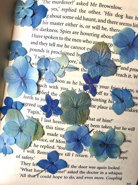 Dried Flowers Aesthetic, Hydrangea Aesthetic, Pressed Hydrangea, Dried Hydrangeas, Everything Is Blue, Nothing But Flowers, Pressed Flower Art, Flower Therapy, Arte Floral