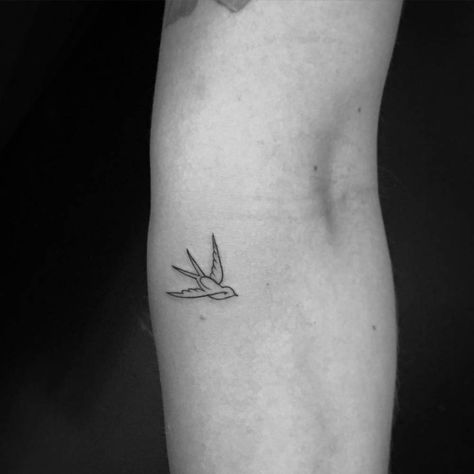 Fine line swallow tattoo on the left inner forearm. Swallow Tattoo Design, Bluebird Tattoo, One Line Tattoo, Inner Forearm Tattoo, Small Bird Tattoo, Small Forearm Tattoos, Swallow Tattoo, Inner Forearm, Bird Tattoo