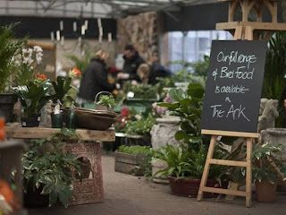 Green Fingers | The Scribbling Wren Nursery Display Ideas, Garden Center Ideas, Burford Garden Company, Flower Shop Display, Garden Center Displays, Garden School, Nursery Garden, Herb Farm, Anna Rose