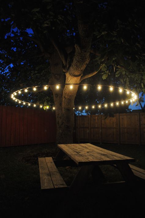 Dreamy Patio, Diy Wedding Lighting, Patio Yard Ideas, Pergola Diy, Lights Patio, Backyard Trees, Diy String Lights, Patio Pergola, Patio String Lights