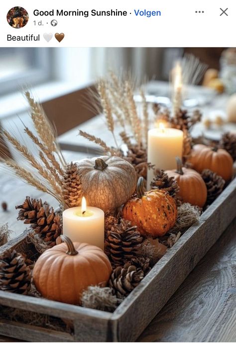 Fall Centerpiece Decor, Thanksgiving 2024 Decor, Boho Fall Decor, Fall Decor Diy Crafts, Fall Table Centerpieces, Thanksgiving Decorations Diy, Cozy Fall Decor, Autumn Table, Fall Thanksgiving Decor