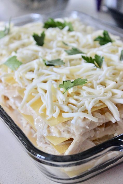 Chicken Alfredo Lasagna Lasagna Recipe Chicken, Easy Chicken Lasagna Recipe, Alfredo Lasagna Recipe, Lasagna With White Sauce, Recipes With Lasagna Noodles, Chicken Alfredo Lasagna Recipe, Lasagna With Cottage Cheese, White Chicken Lasagna, Chicken Lasagna Recipe