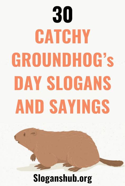 30 Catchy Groundhog’s Day Slogans and Sayings  Groundhog Day is a traditional holiday celebrated on February 2. According to folklore, if it is cloudy when a groundhog emerges from its burrow on this day, then spring will come early; if it is sunny, the groundhog will supposedly see its shadow and retreat back into its burrow and the winter weather will persist for six more weeks. Share them with your friends. #slogans #sayings #groundhogs #groundhogsday  #groundhogsdaySlogans Groundhog Day Early Spring, Groundhog Day Jokes, Groundhog Day Quote, Ground Hog Day Funny Humor, Groundhog Quotes, Groundhog Day Decorations, Groundhog Day Humor, Groundhog Day Quotes, Ground Hogs Day