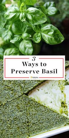 3 Tips for Preserving Fresh Basil All Year Long | Kitchn Preserve Fresh Basil, Preserving Basil, Preserve Fresh Herbs, Fresh Basil Recipes, Freezing Herbs, Preserving Herbs, Basil Recipes, Kinds Of Vegetables, Herb Recipes