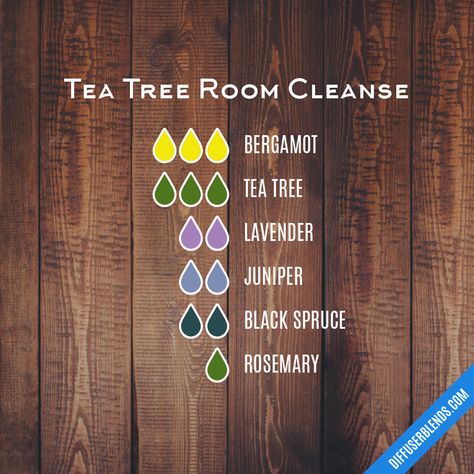 Tea Tree Room Cleanse Pot Potpourri, Bergamot Tea, Scent Blends, Eo Blends, Sage Tea, Reed Diffuser Sticks, Diy Belt, Potpourri Recipes, Black Spruce