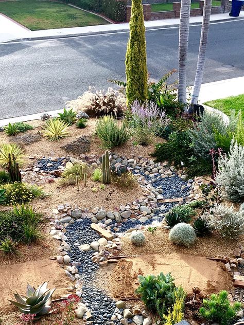 Drought Tolerant Landscape Front Yard Zone 7, Southwest Landscaping, Garden Habitat, Xeriscape Ideas, Garden Redesign, Desert Landscaping Backyard, Xeriscape Front Yard, Exterior Updates, High Desert Landscaping