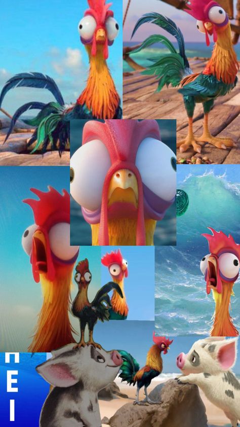 HEI HEI FROM MOANA🐓 Hei Hei Wallpaper, Hey Hey Moana Chicken, Hey Hey Moana, Moana Memes, Hei Hei Chicken, Moana Chicken, Heihei Moana, Hei Hei Moana, Turkey In Disguise