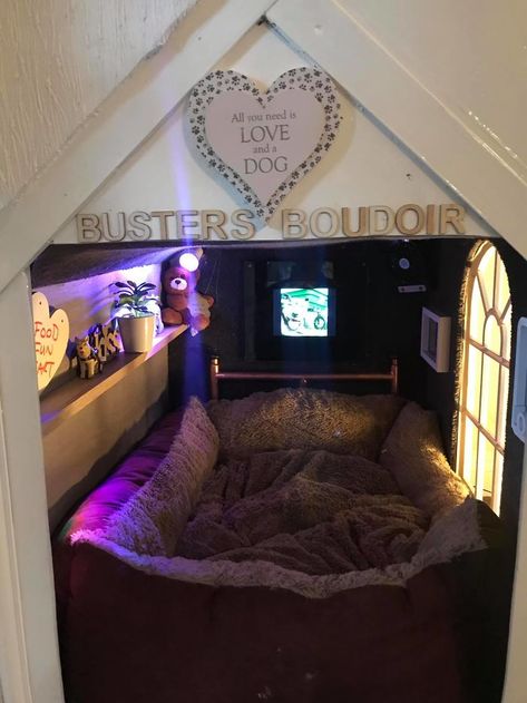 This Dog Has Trust Issues, So The Owner Built A 'Boudoir Bedroom' That Even Has A 'TV', To Comfort Him Dog Bedroom, Puppy Room, Dog Rooms, Trust Issues, Therapy Dogs, Sleeping Dogs, Home Alone, Cozy Space, Dog House