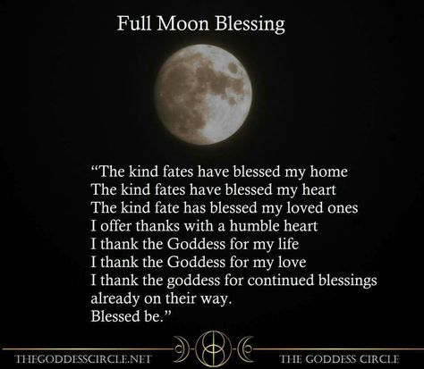 August Full Moon 2023, Full Moon 2023, Moon Blessing, August Full Moon, Goddess Circle, Full Moon Tarot, Moon 2023, Full Moon Spells, Full Moon Rituals