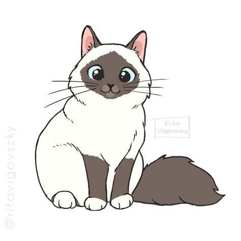 Ragdoll Cat Drawing Cartoon, Birman Cat Drawing, Birman Cat Aesthetic, Illustration Chat, Chat Kawaii, Birman Cat, Cat Coloring, Body Base Drawing, Cat Coloring Page