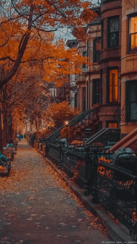 Brooklyn In Fall, Fall In Chicago Aesthetic, Fall Romance Aesthetic, Brooklyn Ny Aesthetic, Cinematic Illustration, Fall Romance, Chicago Fall, Grid Game, Chicago Aesthetic