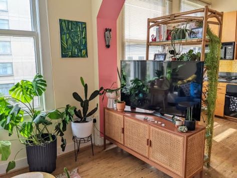 Tv on a stand next to lot of plants Studio Apartment Tour, Tv Stand Room Divider, Apartment Tv, Diy Tv Stand, Studio Condo, Living Room Plants, Lots Of Windows, Apartment Tour, Living Room Photos