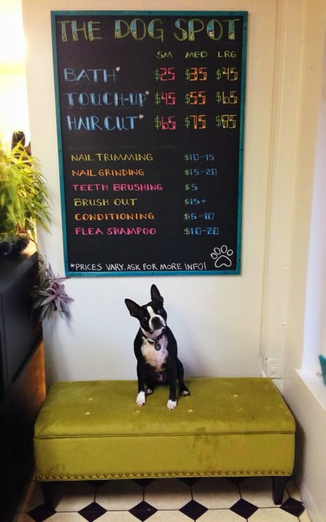 Dog Groomer Set Up, Dogs Grooming Salon, She Shed Dog Grooming, Opening A Grooming Salon, Home Pet Grooming Salon, Dog Grooming Decor Ideas, In Home Grooming Salon Ideas, Dog Grooming Prices, Dog Grooming Salon Ideas Decor Rustic