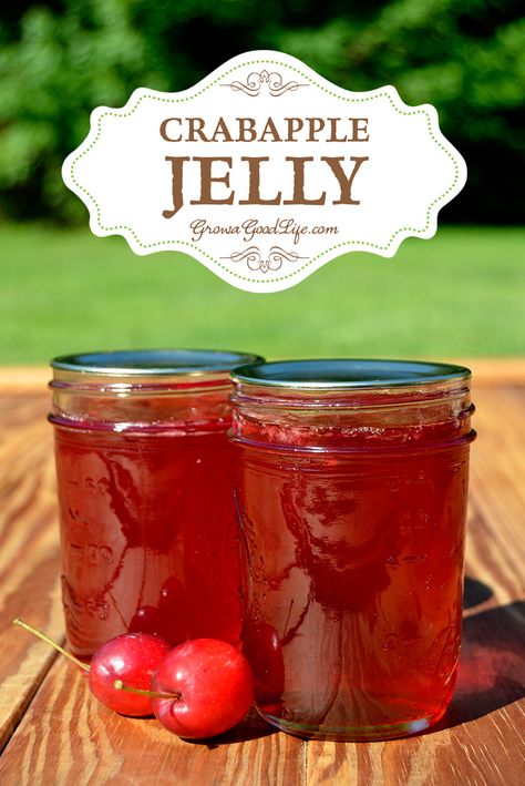 Transform the tart flavor of crabapples into a delicious homemade crabapple jelly. Crabapples have enough natural pectin, so no additional pectin is needed for this crabapple jelly recipe. Crabapple Jelly Recipe, Crabapple Jelly, Crab Apple Recipes, Crab Apple Jelly, Fall Apple Recipes, Apple Jelly, Canning Jam, Homemade Jelly, Jelly Recipe