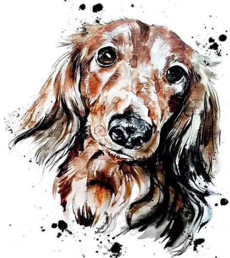 Doxin Dog, Dachshund Watercolor, Dachshund Artwork, Dachshund Painting, Doxie Art, Dog Design Art, Dachshund Illustration, Pet Paintings, Spirit Animal Art