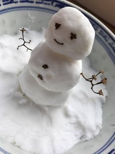 Möchte selbst im Winter kein Schnee fallen oder suchen Sie noch nach der passenden Weihnachtsdeko, können Sie Schnee einfach selber machen. Wir zeigen Ihnen, welche Möglichkeiten es gibt. Schnee Party, Simple Snowflake, Winter Kindergarten, Winter Coffee, How To Make Snow, Winter Animals, Winter Party, Winter Flowers, Winter Diy