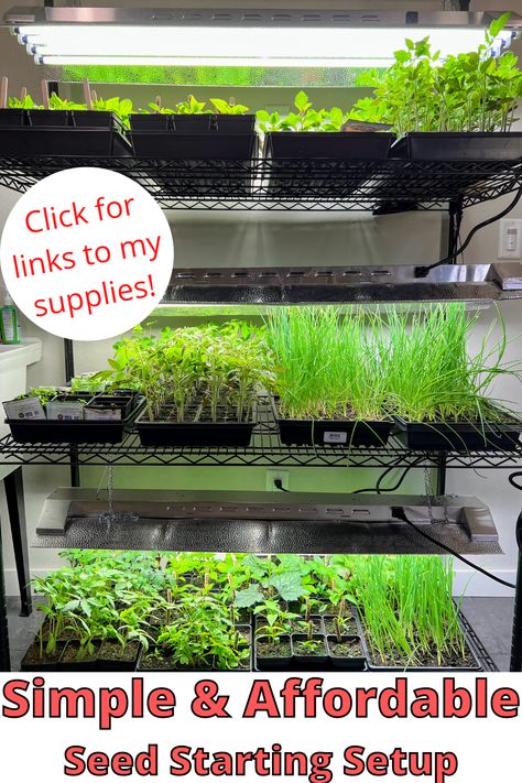 Indoor Seed Starter Setup, Seeding Indoors Starting, Indoor Seedling Setup, Indoor Seed Starting Setup Diy, Seed Starting Indoors Set Up, Diy Seed Starting Tray, Indoor Seed Starting Setup, Starting Seeds Indoors Diy, Seedlings Indoors Starting