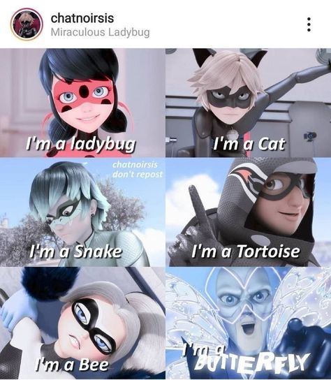 Miraculous Meme, Mlb Fanart, Catnoir And Ladybug, Miraculous Memes, Disney Quotes Funny, Miraculous Ladybug Oc, Funny Disney Jokes, Miraculous Ladybug Memes, Miraculous Ladybug Fanfiction