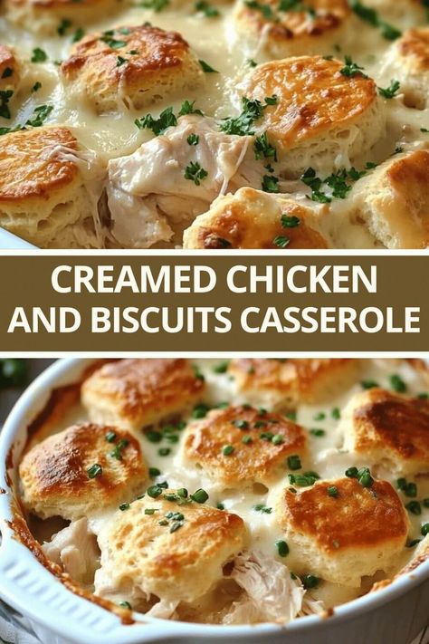 Creamed Chicken and Biscuits Casserole Creamed Chicken And Biscuits, Chicken And Biscuits Casserole, Chicken Biscuit Casserole, Creamed Chicken, Biscuits Casserole, Baked Chicken Tenders, Flaky Biscuits, Chicken And Biscuits, Comfort Dishes