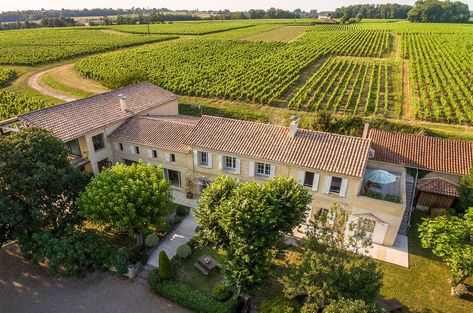 Italian Vineyard House, Organic Architecture Concept, Bordeaux Vineyards, Italian Vineyard, Vineyard House, France Landscape, Virginia Wine Country, Zen House, Eco Buildings