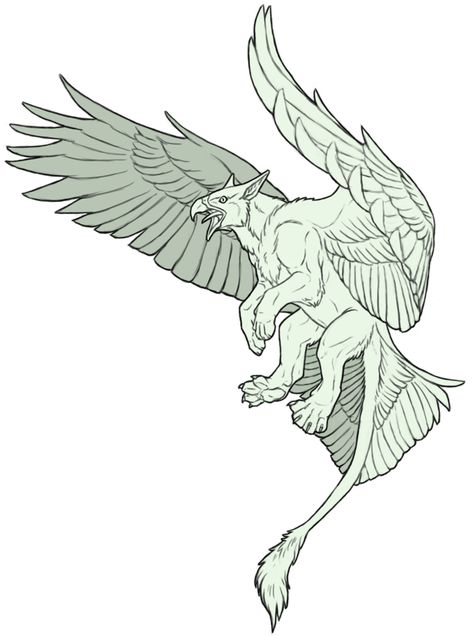 Mythical Beast Sketch, Gryphon Aesthetic, Griffon Drawing, Gryphon Drawing, Flying Griffin, Griffin Creature, Griffon Tattoo, Griffon Art, Gryphon Tattoo