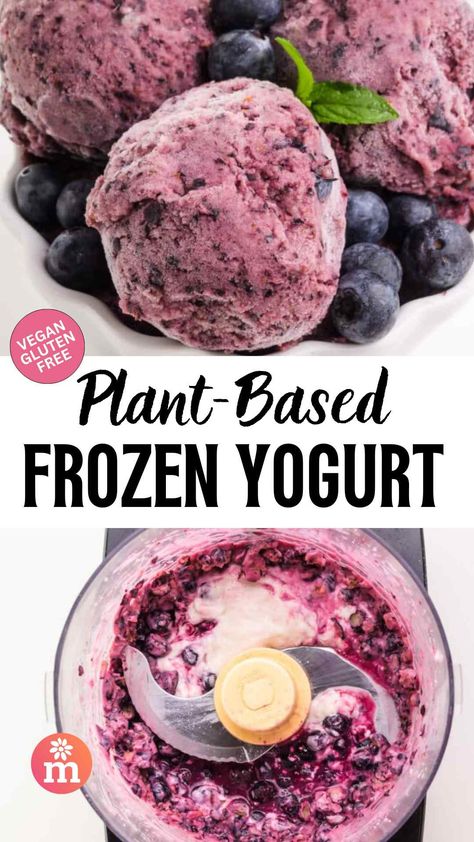 Frozen Fruit Sorbet, Yogurt From Scratch, Fruit Sorbet Recipe, Vegan Frozen Yogurt, Vegan Yogurt Recipe, Blueberry Sorbet, Frozen Yogurt Recipes, Fruit Sorbet, Frozen Dessert Recipe